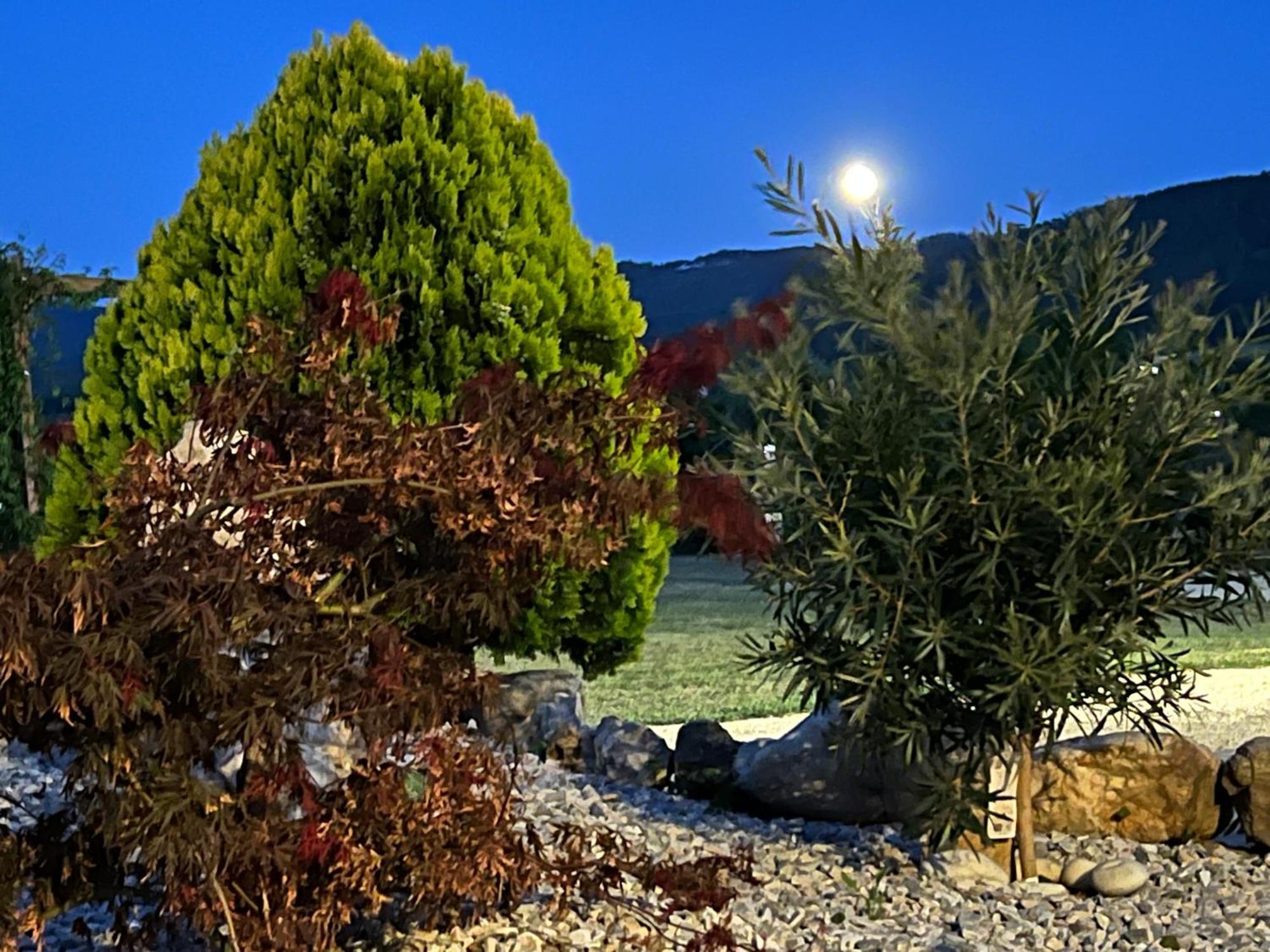 Casal De Pelaio Otel Barreiros Dış mekan fotoğraf